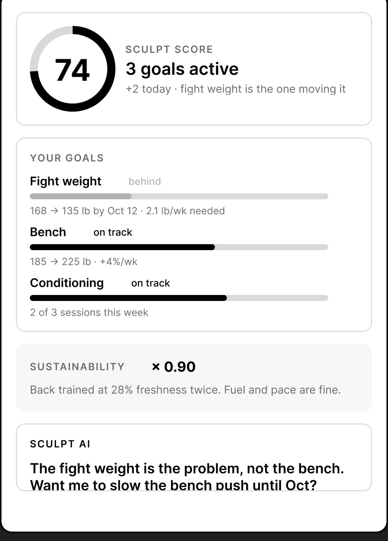 Experiment 2: three goal dimensions each with their own pace and verdict, unified into one score.